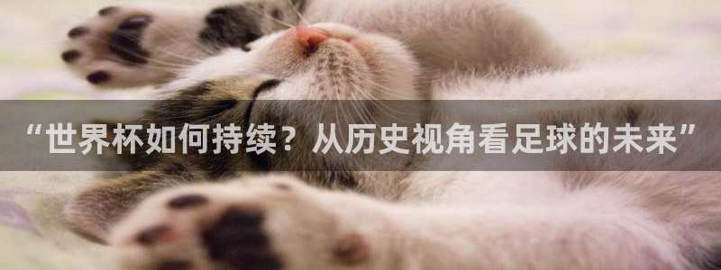 2026世界杯赛程时间表最新：“世界杯如何持续？从历史视角看足球的未来”