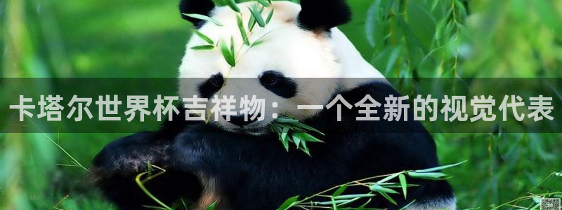 世界杯2026赛程：卡塔尔世界杯吉祥物：一个全新的视觉代表