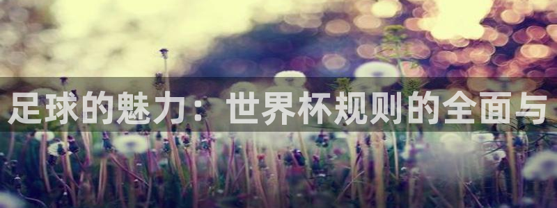 世界杯预选赛2026：足球的魅力：世界杯规则的全面与