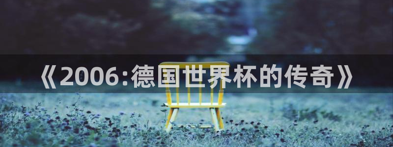 世界杯欧洲预选赛赛程：《2006:德国世界杯的传奇》