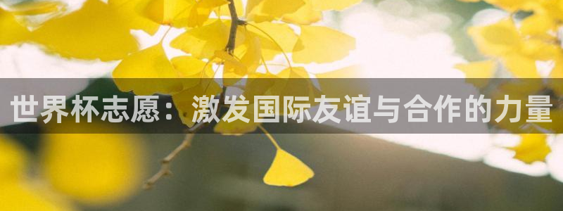 世界杯足球赛2026：世界杯志愿：激发国际友谊与合作的力量