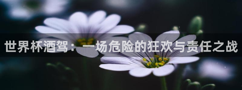 法国杯2026赛程表：世界杯酒驾：一场危险的狂欢与责任之战