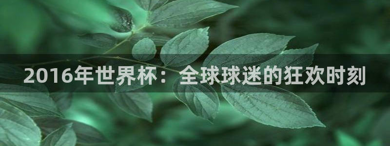 世界杯预选赛欧洲：2016年世界杯：全球球迷的狂欢时刻