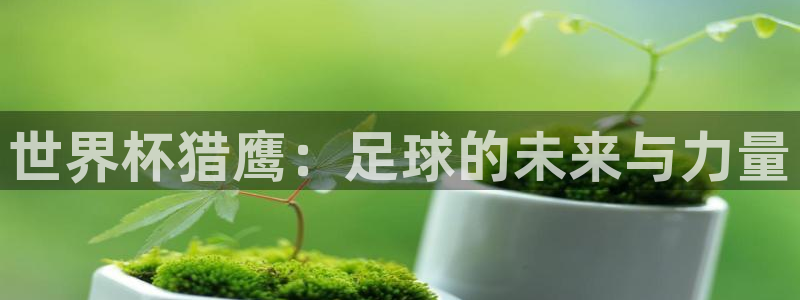 法国杯2026赛程表：世界杯猎鹰：足球的未来与力量