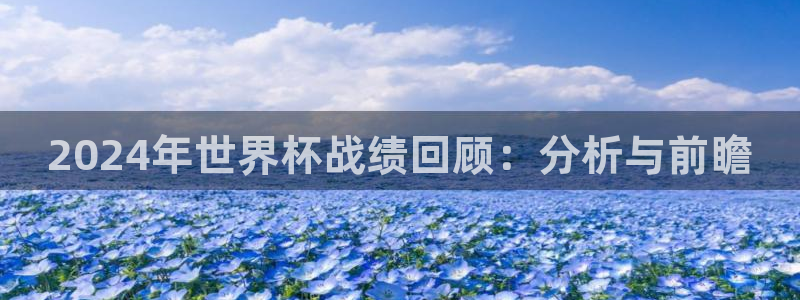 世界杯预选赛赛程：2024年世界杯战绩回顾：分析与前瞻