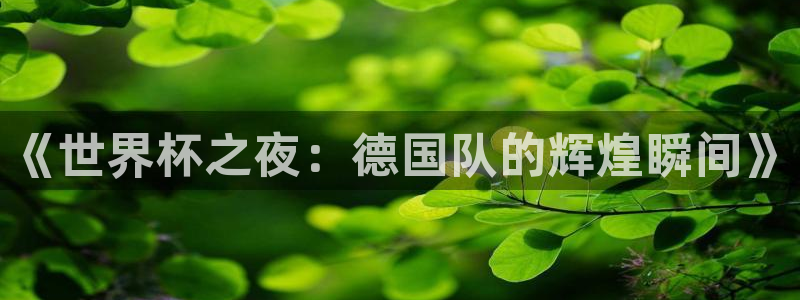 免费看足球直播比赛：《世界杯之夜：德国队的辉煌瞬间》