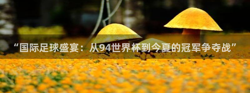 2026世界杯直播免费观看：“国际足球盛宴：从94世界杯到今夏的冠军争夺战”