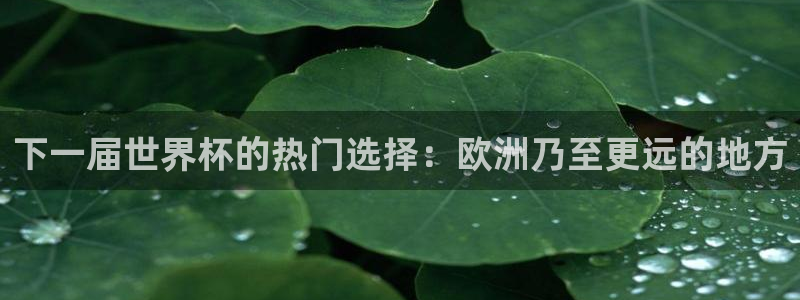 世界杯决赛预测：下一届世界杯的热门选择：欧洲乃至更远的地方