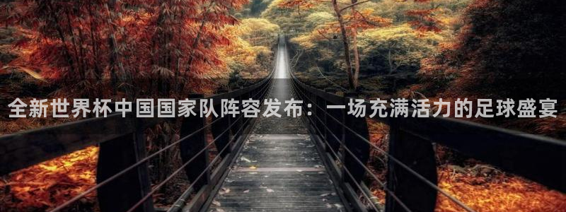 今年世界杯：全新世界杯中国国家队阵容发布：一场充满活力的足球盛宴