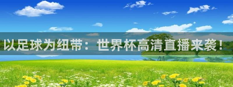 预选赛世界杯：以足球为纽带：世界杯高清直播来袭！
