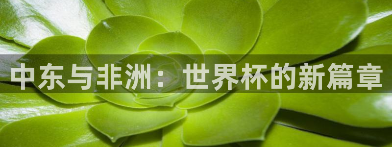 世界杯亚洲区预选赛赛程表：中东与非洲：世界杯的新篇章