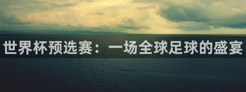 世界杯足球2026：世界杯预选赛：一场全球足球的盛宴