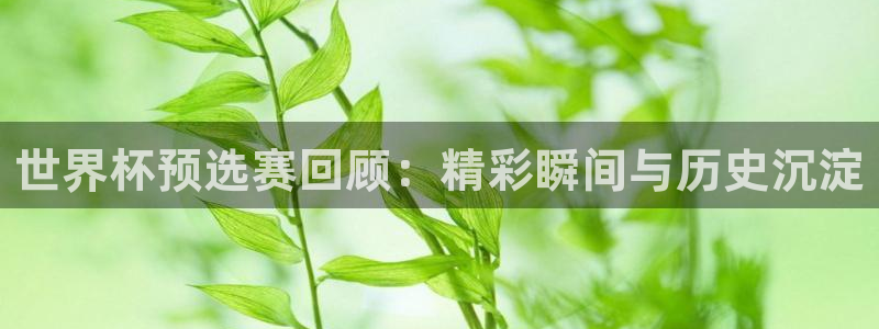 足球世界杯赛程：世界杯预选赛回顾：精彩瞬间与历史沉淀